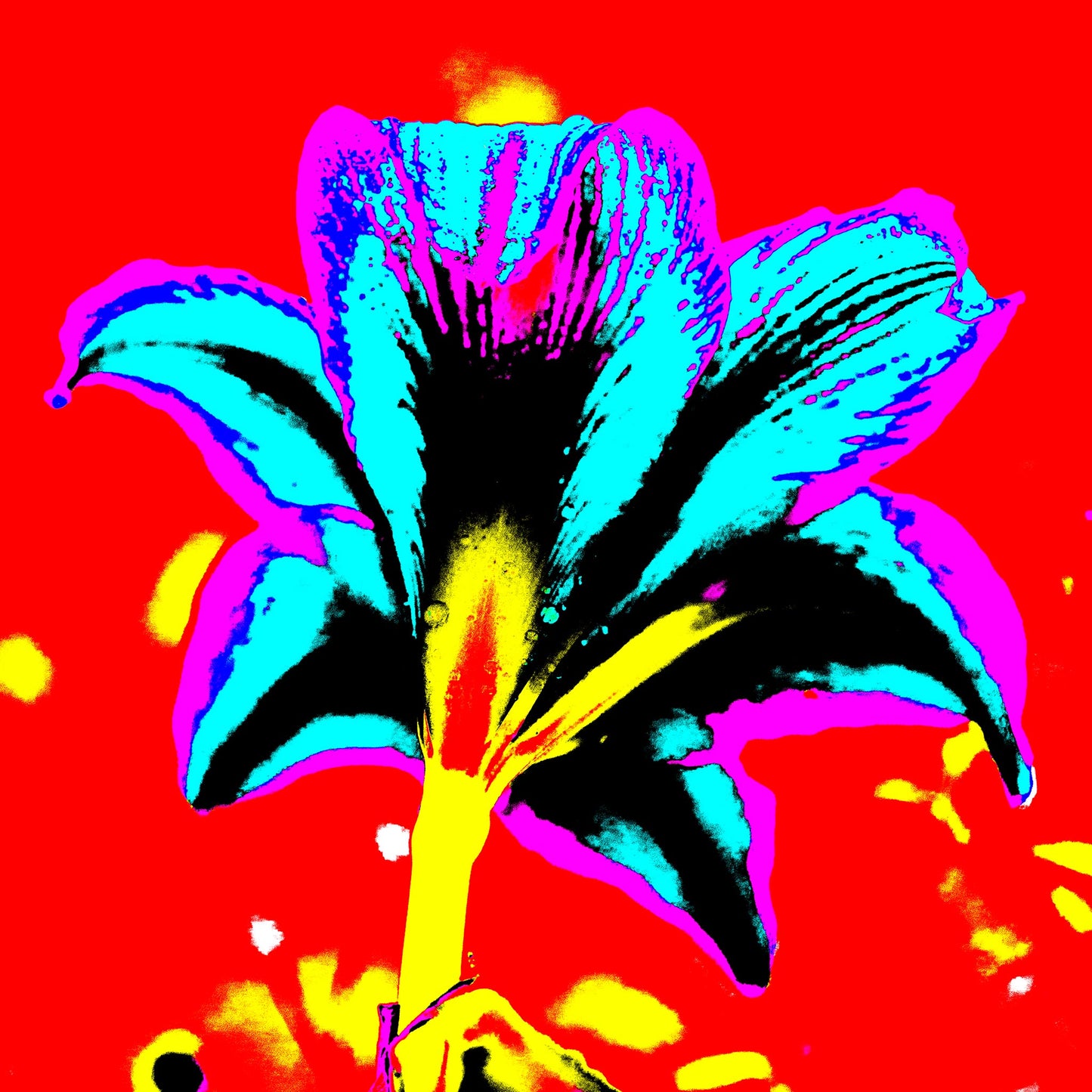Hippeastrum No.1 - 181910v7 - 90x90cm, Rear view of hippeastrum in bright blue, violet, yellow, and black against a bold red background, digitally stylised in hyper-saturated Pop Art treatment.