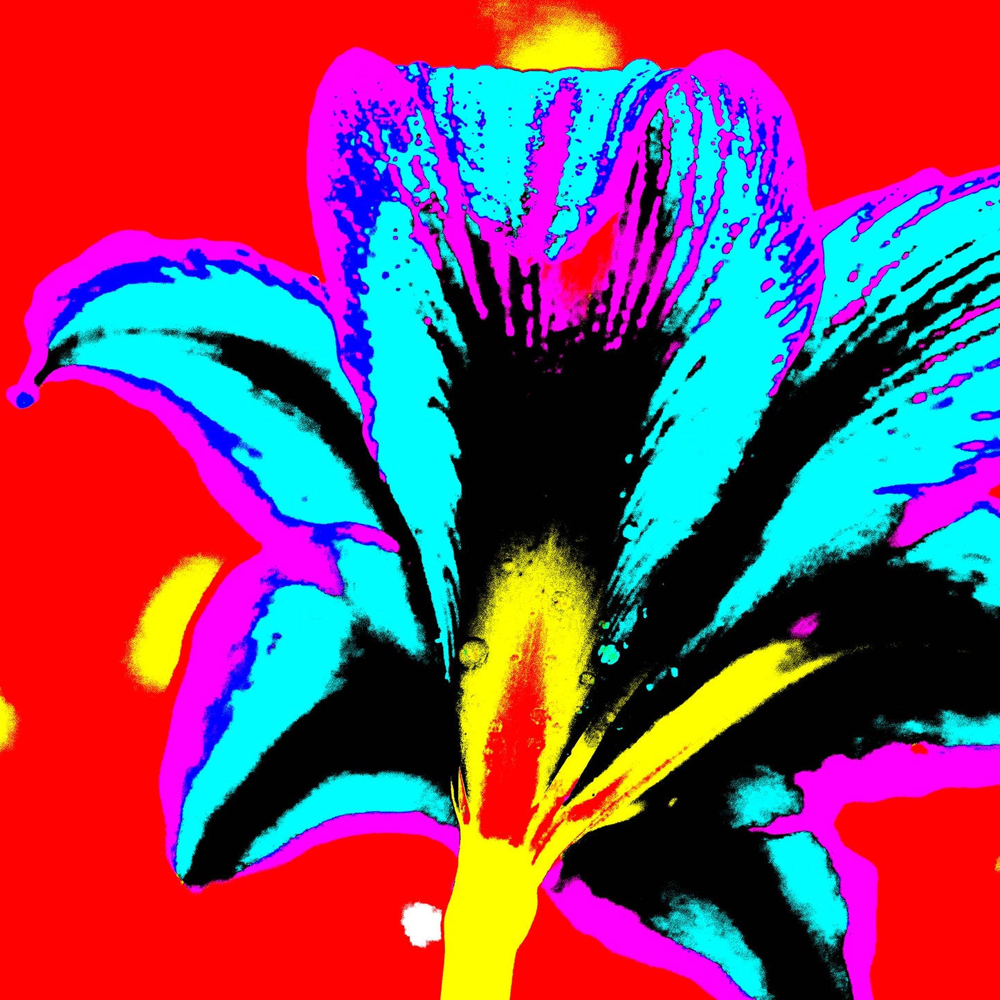 Hippeastrum No.1 - 181910v7 - Close Detail View, Rear view of hippeastrum in bright blue, violet, yellow, and black against a bold red background, digitally stylised in hyper-saturated Pop Art treatment.