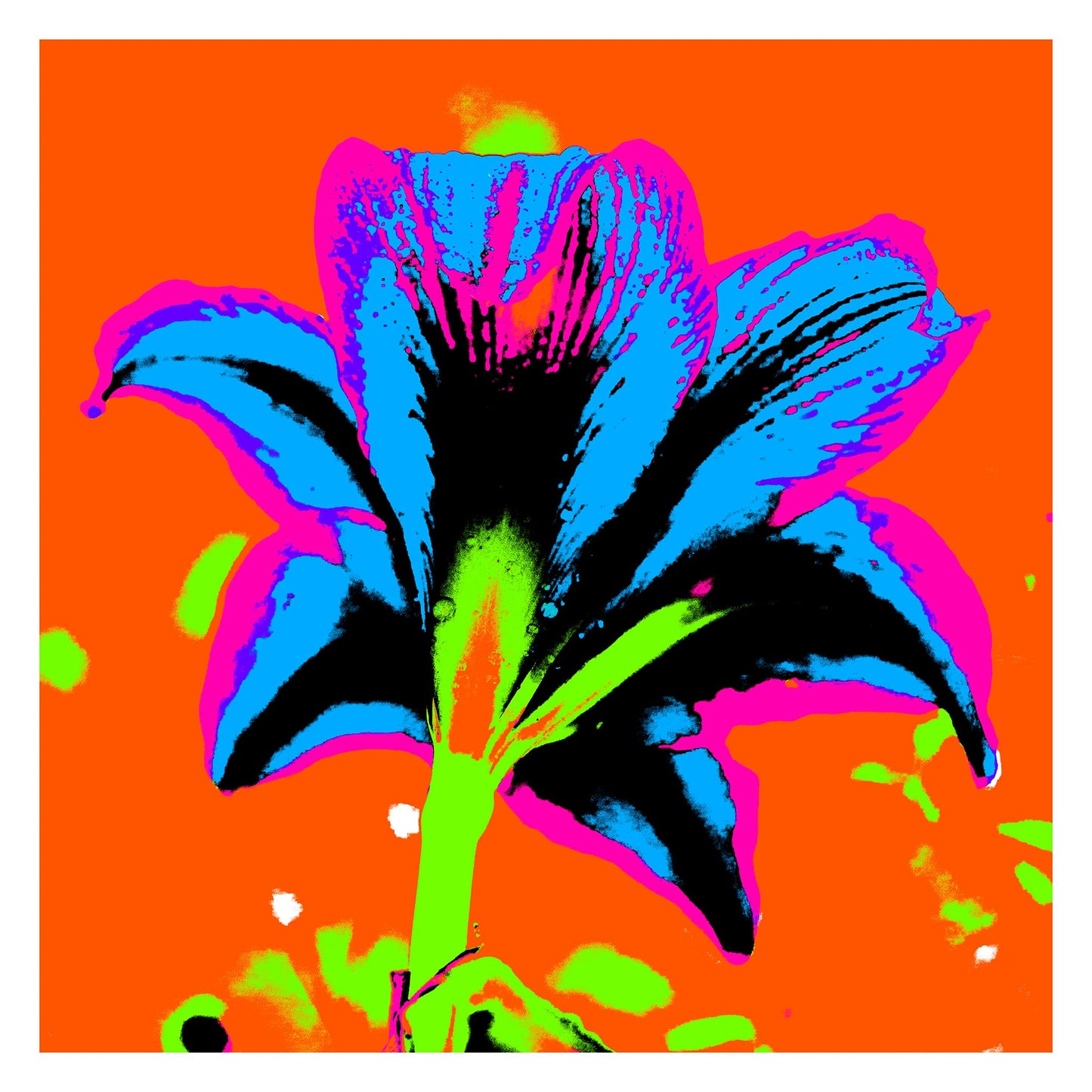 Hippeastrum No.1 - 181910v8 - 104x104cm, Neon-coloured hippeastrum flower viewed from behind in vivid blue, pink, green, and black against a bold orange background, digitally rendered in extreme Pop Art style.