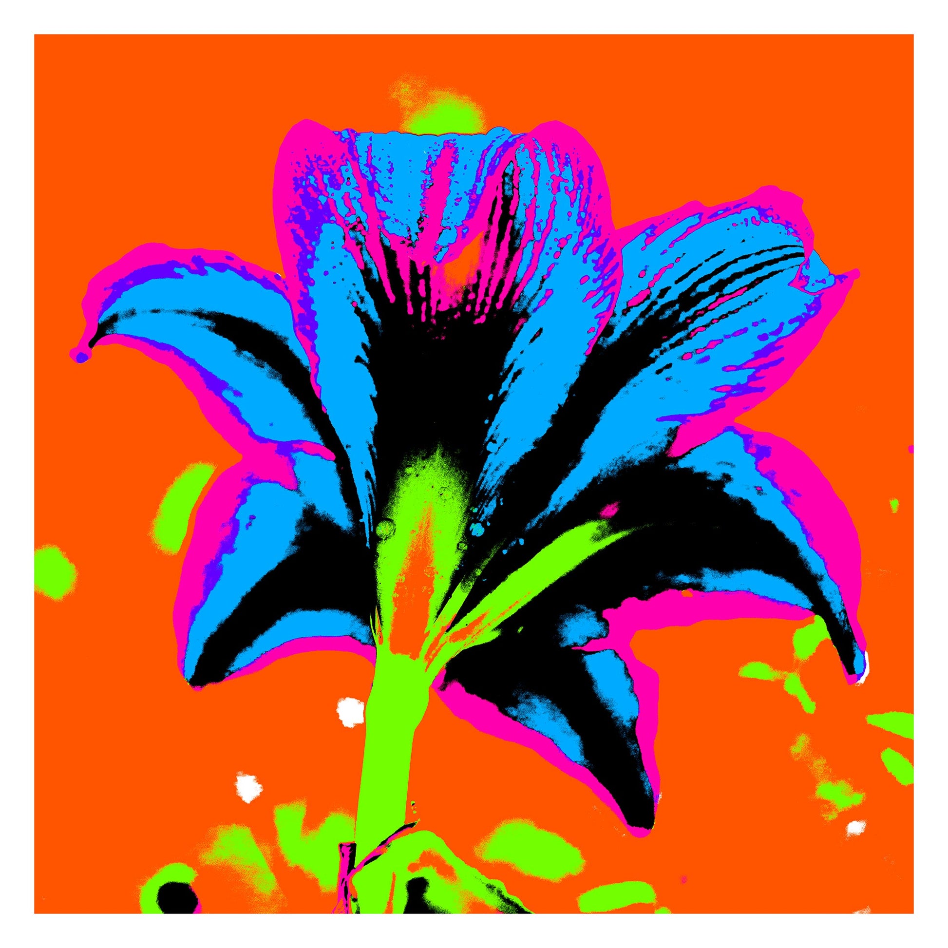 Hippeastrum No.1 - 181910v8 - 104x104cm, Neon-coloured hippeastrum flower viewed from behind in vivid blue, pink, green, and black against a bold orange background, digitally rendered in extreme Pop Art style.