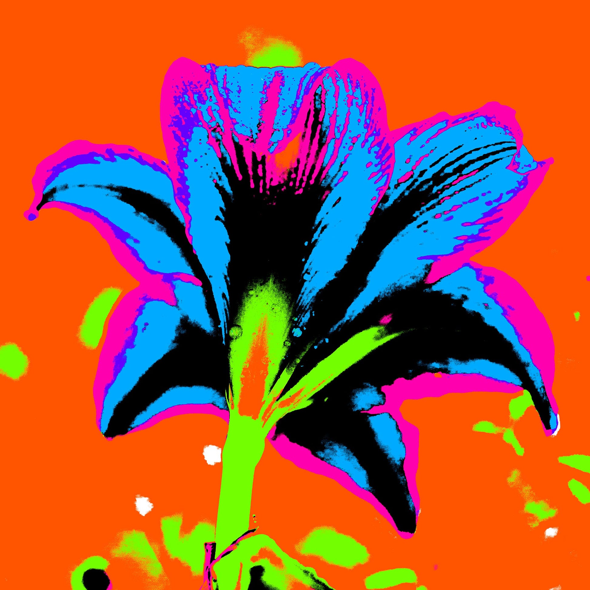 Hippeastrum No.1 - 181910v8 - 90x90cm, Neon-coloured hippeastrum flower viewed from behind in vivid blue, pink, green, and black against a bold orange background, digitally rendered in extreme Pop Art style.