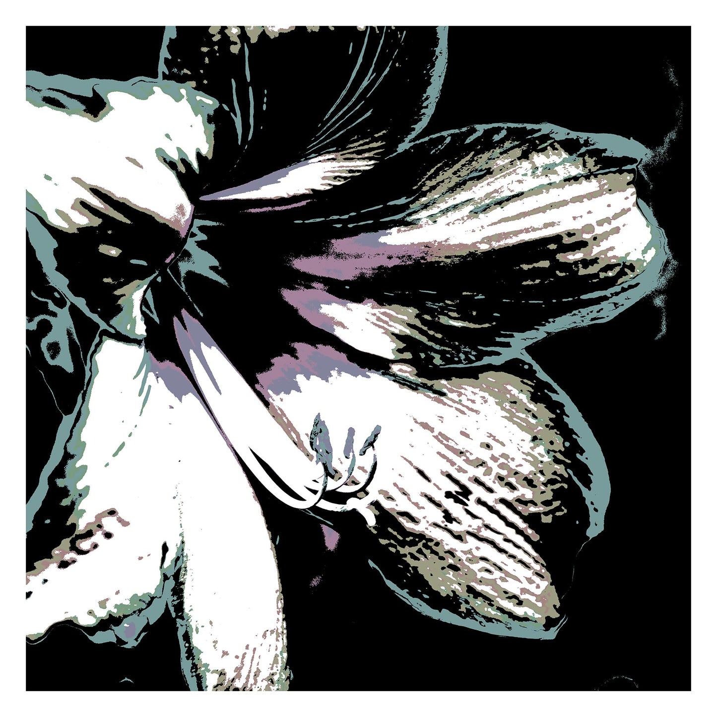 Hippeastrum No.3 - 181911v22 - 104x104cm, Pale green, mauve, and silver-toned stylised hippeastrum flower against black background, digitally rendered with delicate Pop Art textures and soft contrast.