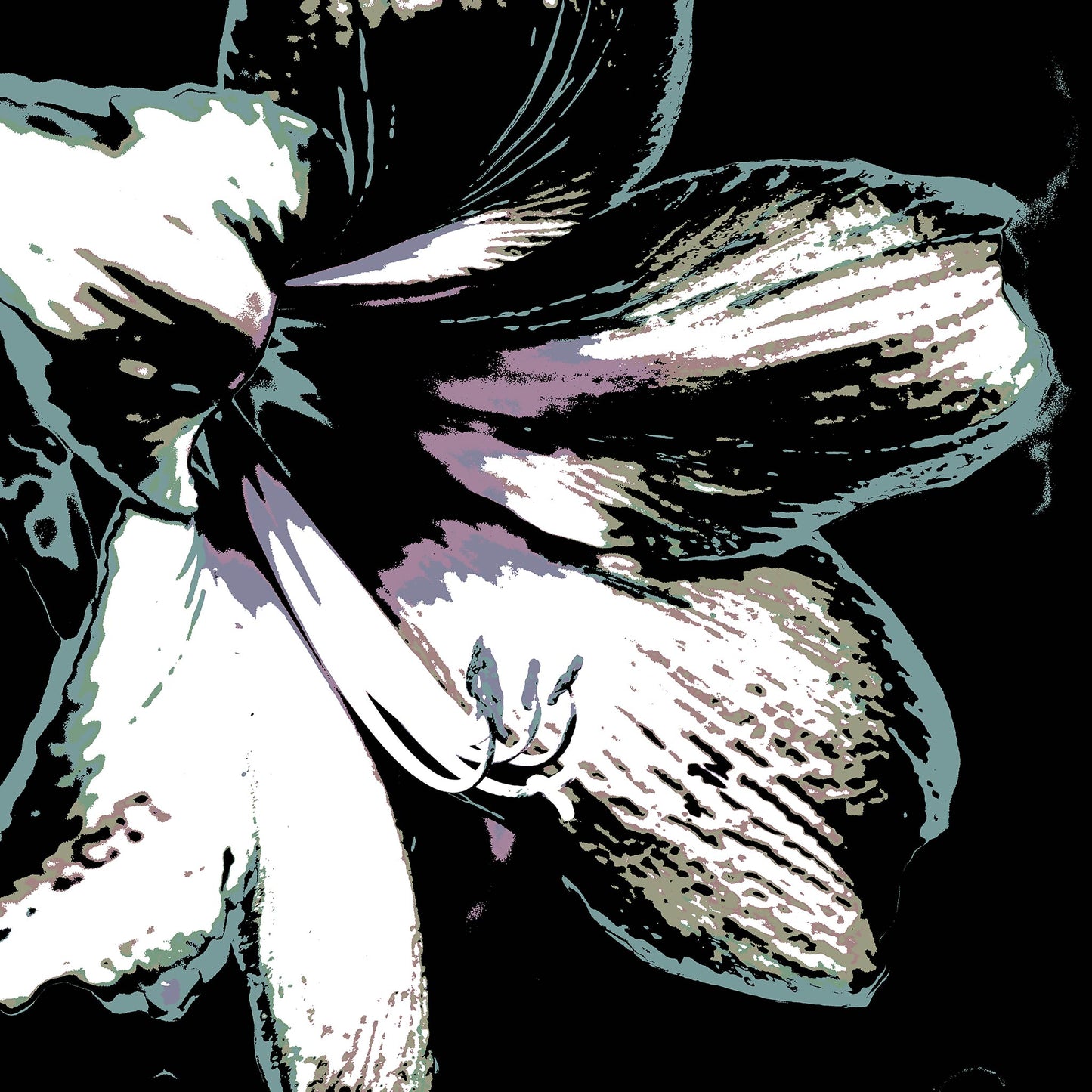 Hippeastrum No.3 - 181911v22 - 90x90cm, Pale green, mauve, and silver-toned stylised hippeastrum flower against black background, digitally rendered with delicate Pop Art textures and soft contrast.