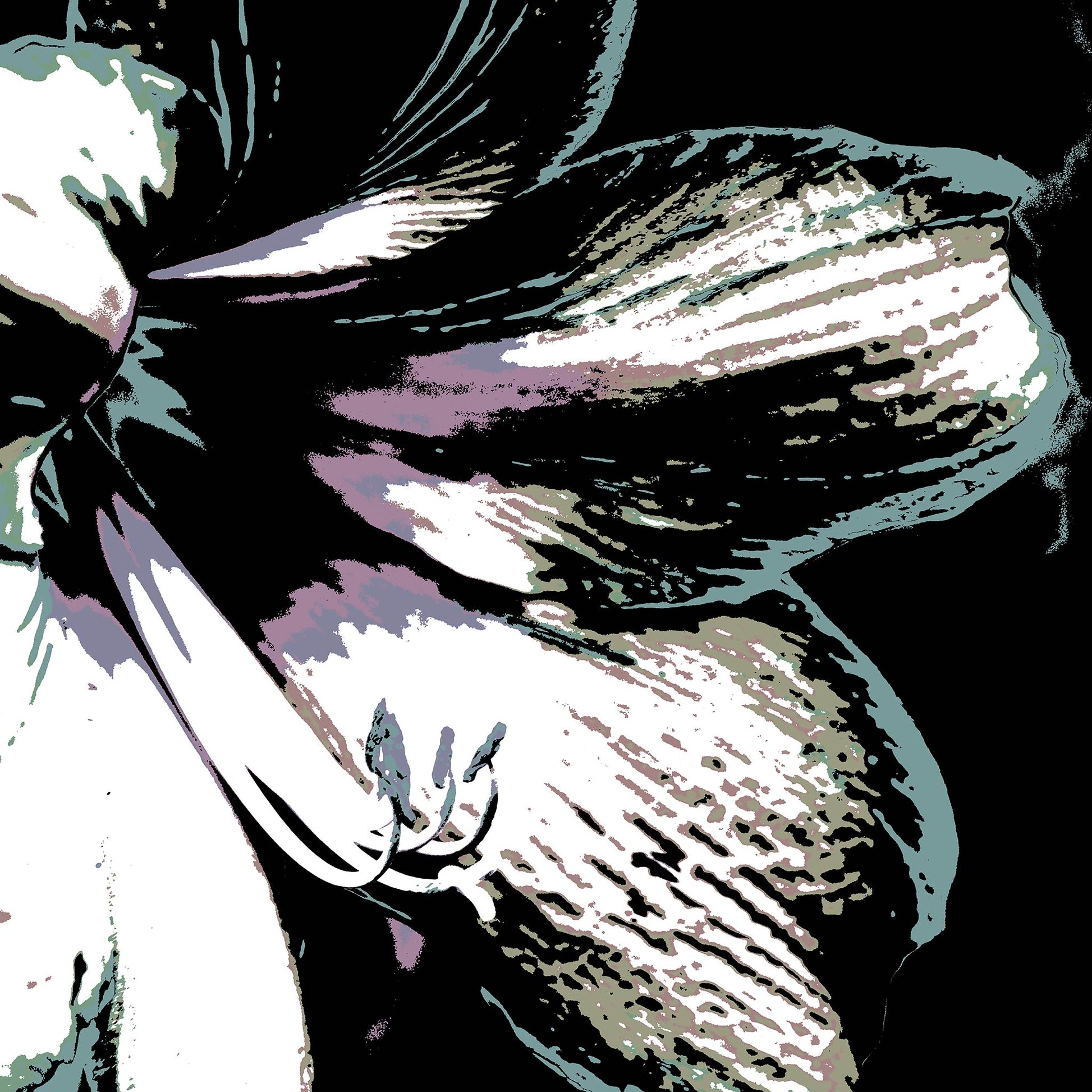 Hippeastrum No.3 - 181911v22 - Close Detail View, Pale green, mauve, and silver-toned stylised hippeastrum flower against black background, digitally rendered with delicate Pop Art textures and soft contrast.