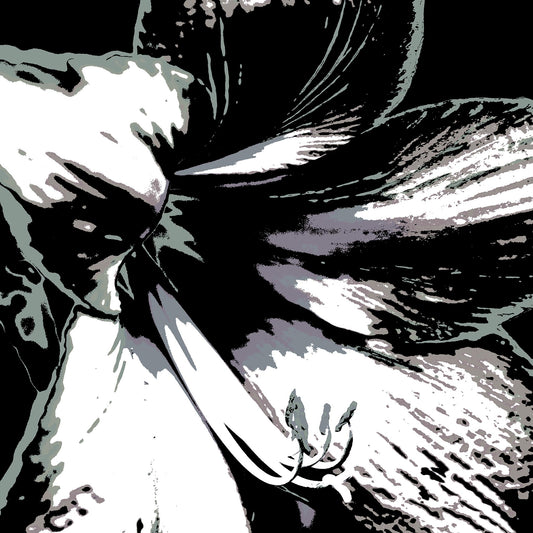 Hippeastrum No.3 - 181911v25 - Close Detail View, Stylised black, grey, and white close-up of a hippeastrum flower, digitally rendered with soft contrast and Pop Art contours in a minimalist monochrome palette.