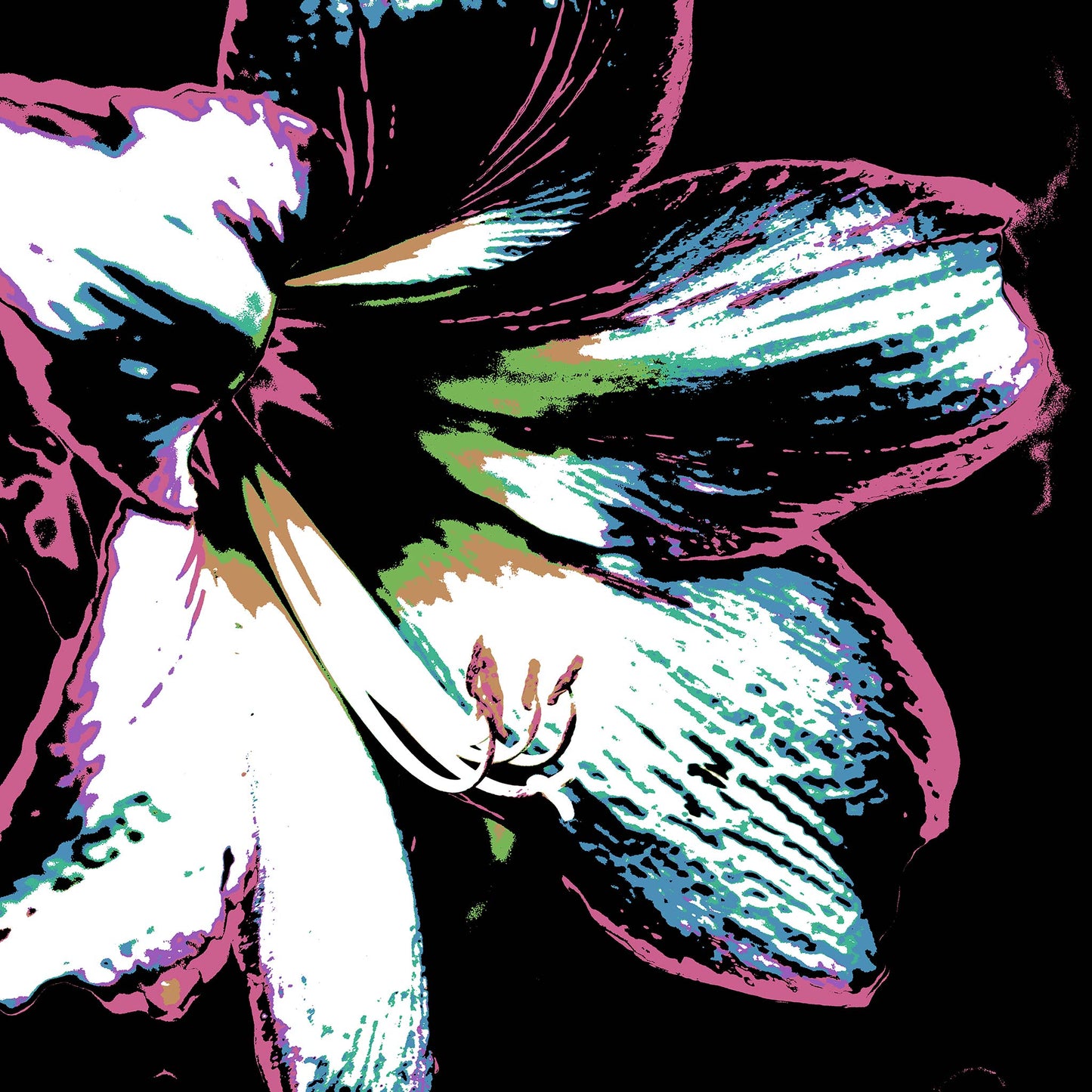 Hippeastrum No.3 - 181911v27 - 90x90cm, Close-up of a stylised hippeastrum flower in soft teal, candy pink, lime green and white, set against a black background with Pop Art linework and contrast.