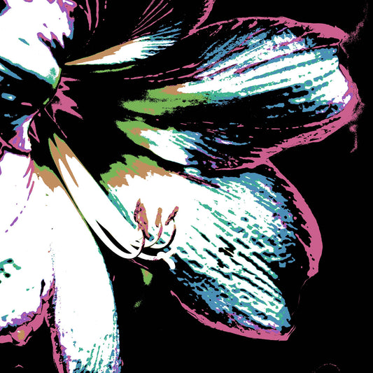 Hippeastrum No.3 - 181911v27 - Close Detail View, Close-up of a stylised hippeastrum flower in soft teal, candy pink, lime green and white, set against a black background with Pop Art linework and contrast.