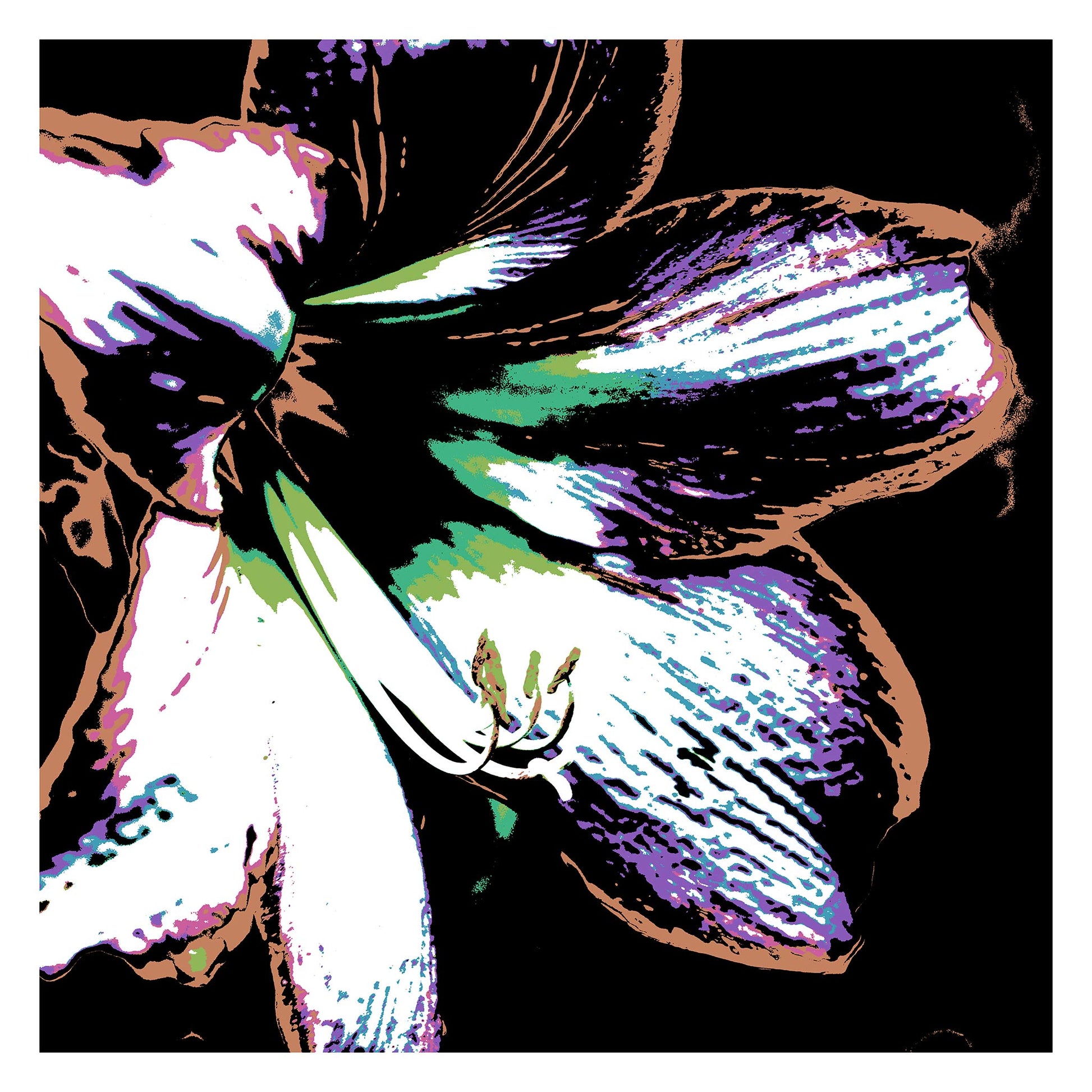 Hippeastrum No.3 - 181911v28 - 104x104cm, Stylised hippeastrum flower in soft mint, lilac, and earthy sienna tones with black background, rendered in high-contrast Pop Art style with a vintage-modern feel.