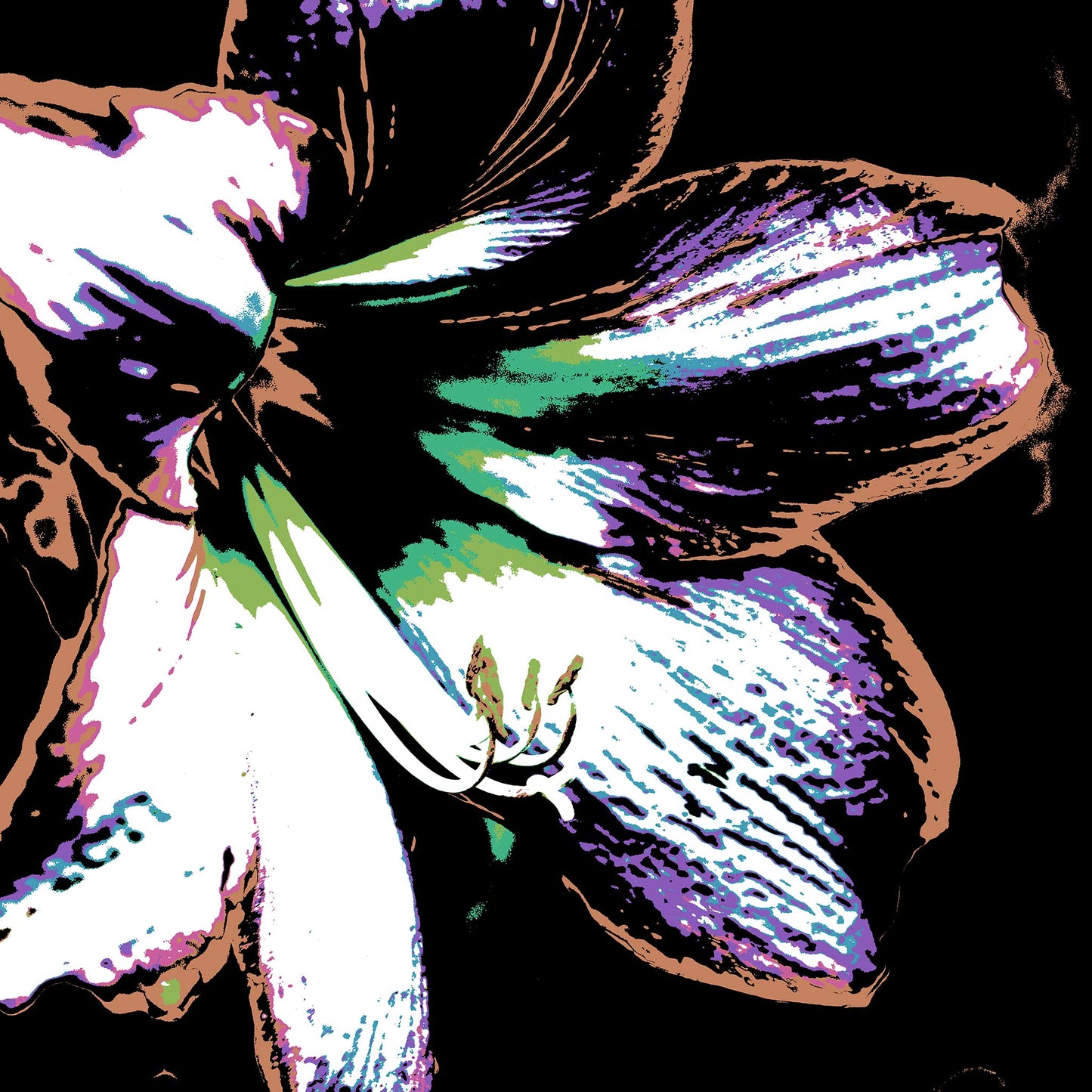 Hippeastrum No.3 - 181911v28 - 90x90cm, Stylised hippeastrum flower in soft mint, lilac, and earthy sienna tones with black background, rendered in high-contrast Pop Art style with a vintage-modern feel.