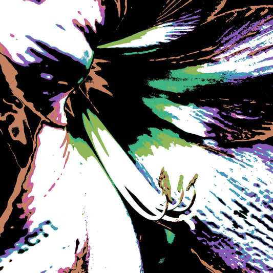 Hippeastrum No.3 - 181911v28 - Close Detail View, Stylised hippeastrum flower in soft mint, lilac, and earthy sienna tones with black background, rendered in high-contrast Pop Art style with a vintage-modern feel.