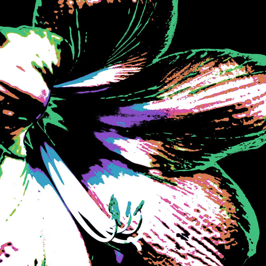 Hippeastrum No.3 - 181911v30 - Close Detail View, Bold close-up of a hippeastrum flower in green, lilac, rose, and white, stylised in Pop Art fashion with black background and graphic detailing.