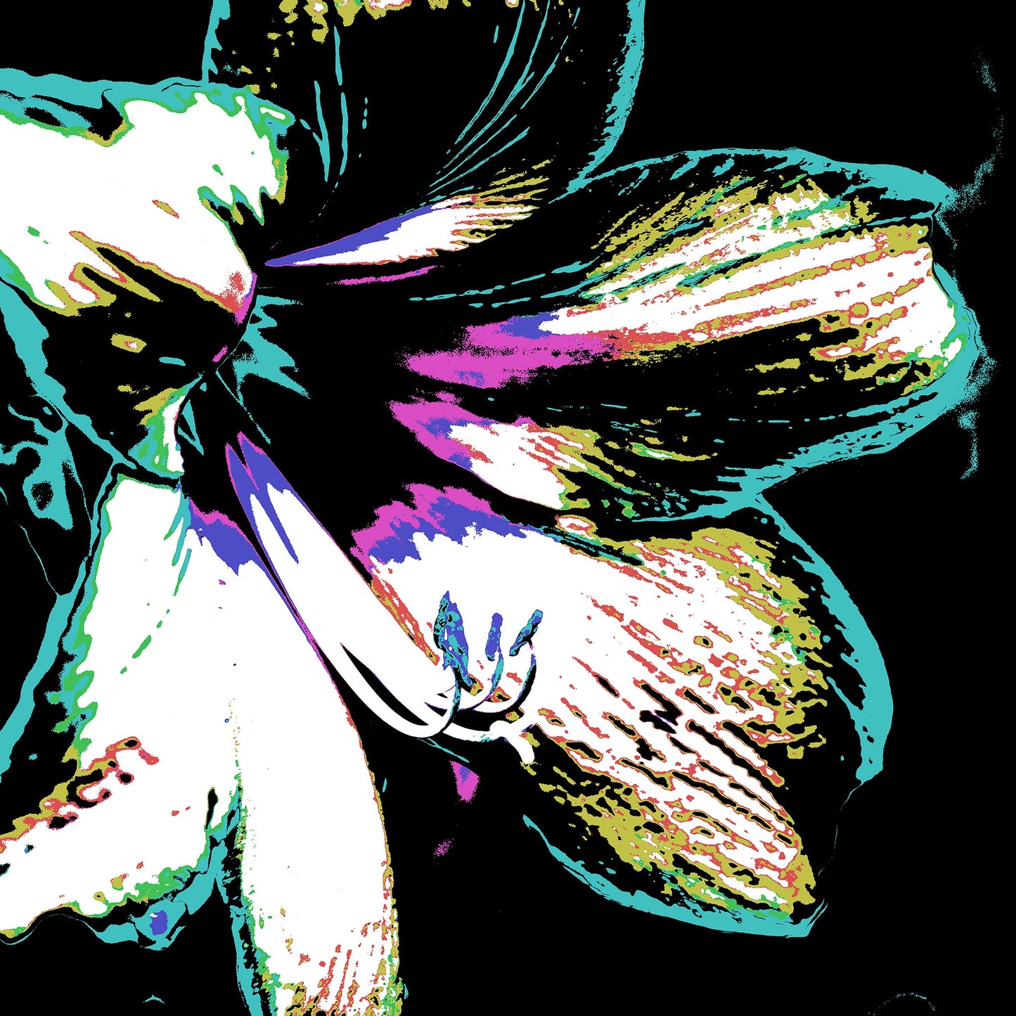 Hippeastrum No.3 - 181911v31 - 90x90cm, Stylised close-up of a hippeastrum flower in mint green, violet, black, and white, digitally rendered in bold Pop Art tones with high contrast and textural graphic detail.