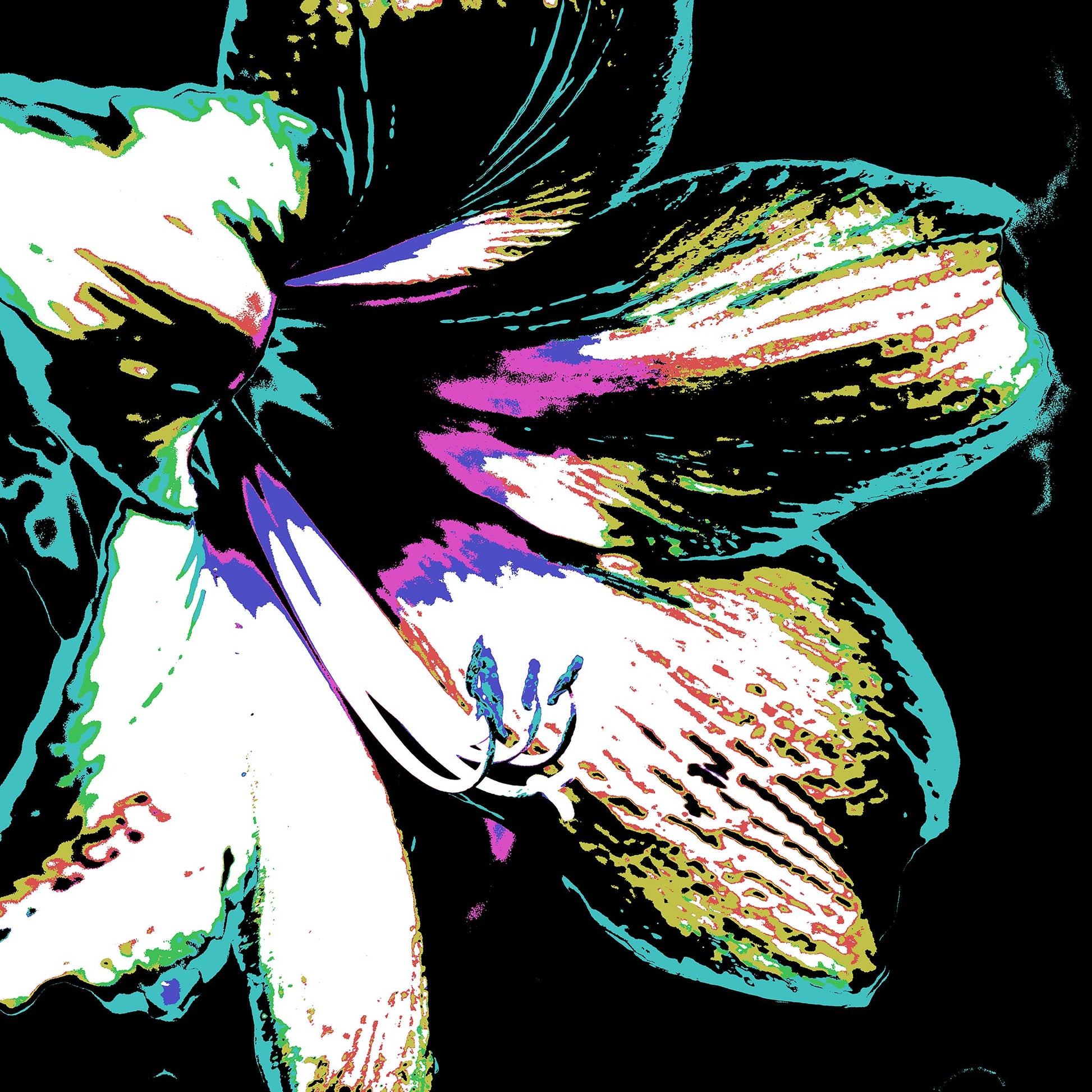 Hippeastrum No.3 - 181911v31 - 90x90cm, Stylised close-up of a hippeastrum flower in mint green, violet, black, and white, digitally rendered in bold Pop Art tones with high contrast and textural graphic detail.