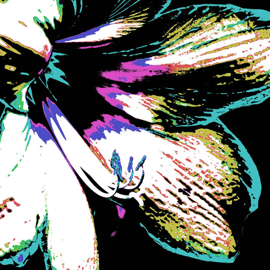 Hippeastrum No.3 - 181911v31 - Close Detail View, Stylised close-up of a hippeastrum flower in mint green, violet, black, and white, digitally rendered in bold Pop Art tones with high contrast and textural graphic detail.