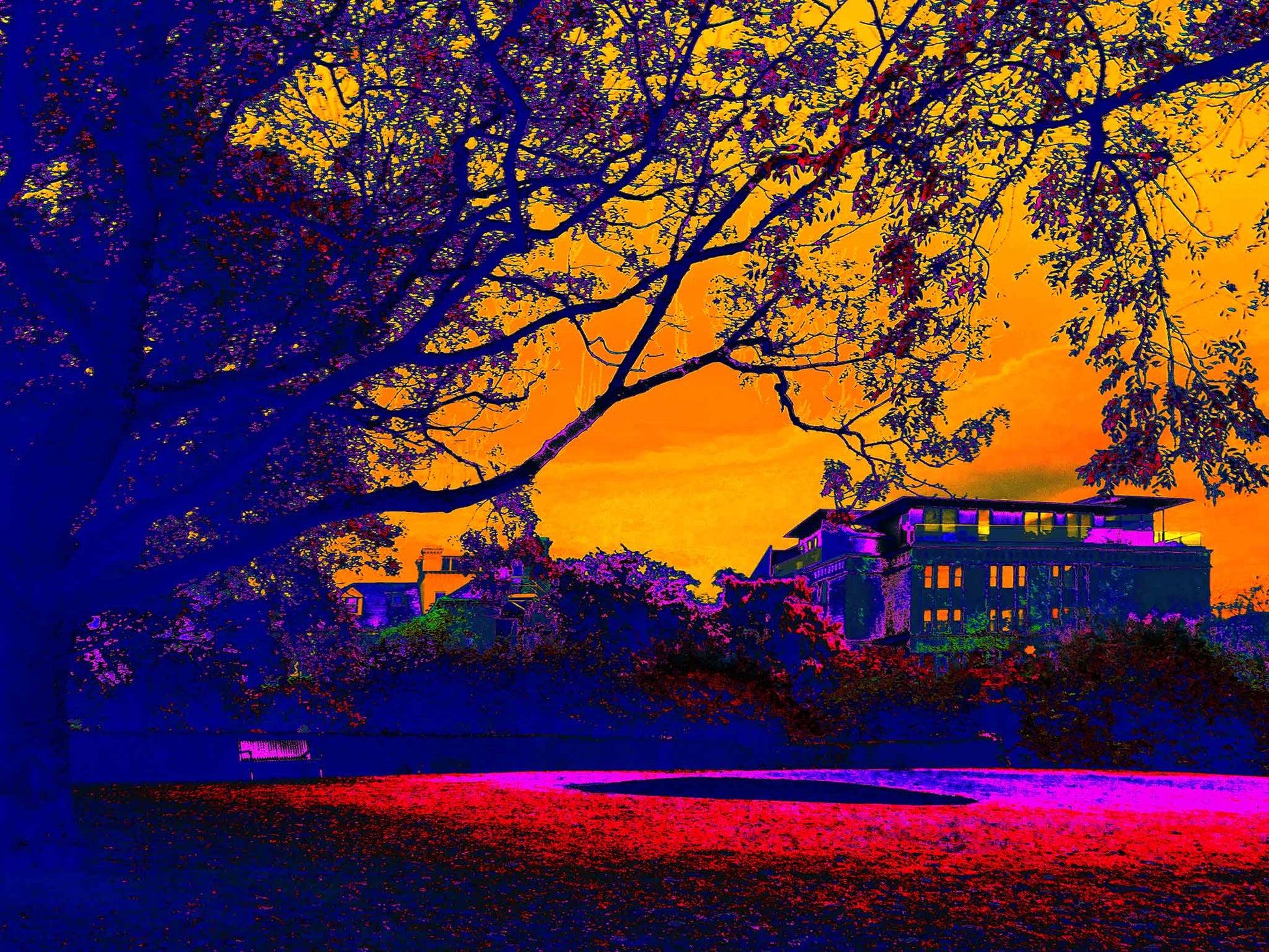Vivid Country - Hobart The Lenna Hotel - 0006v16a - 90x67.5cm, an expressive Pop Art-style image of Hobart’s Lenna Hotel at sunrise, framed by dark trees and a glowing orange sky, with vibrant purple and red tones creating an atmospheric, nostalgic mood.