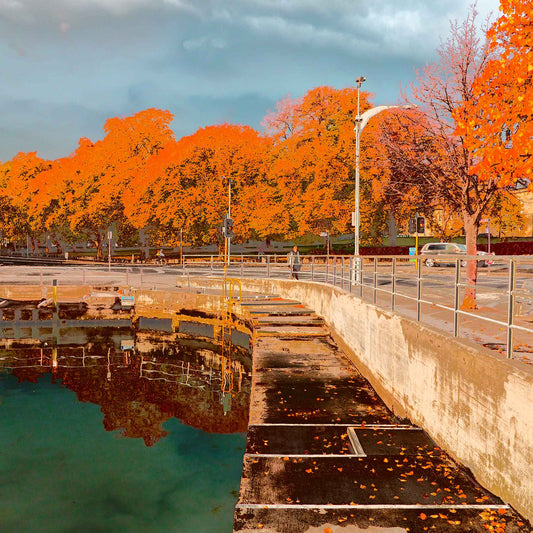 Vivid Country - Hobart Waterfront Esplanade - 0119v11a - Close Detail View, a richly coloured Pop Art-inspired view of Hobart’s waterfront showing a calm harbour edge, autumn leaves on the pavement, and a vibrant row of golden-orange trees under a grey-blue sky.