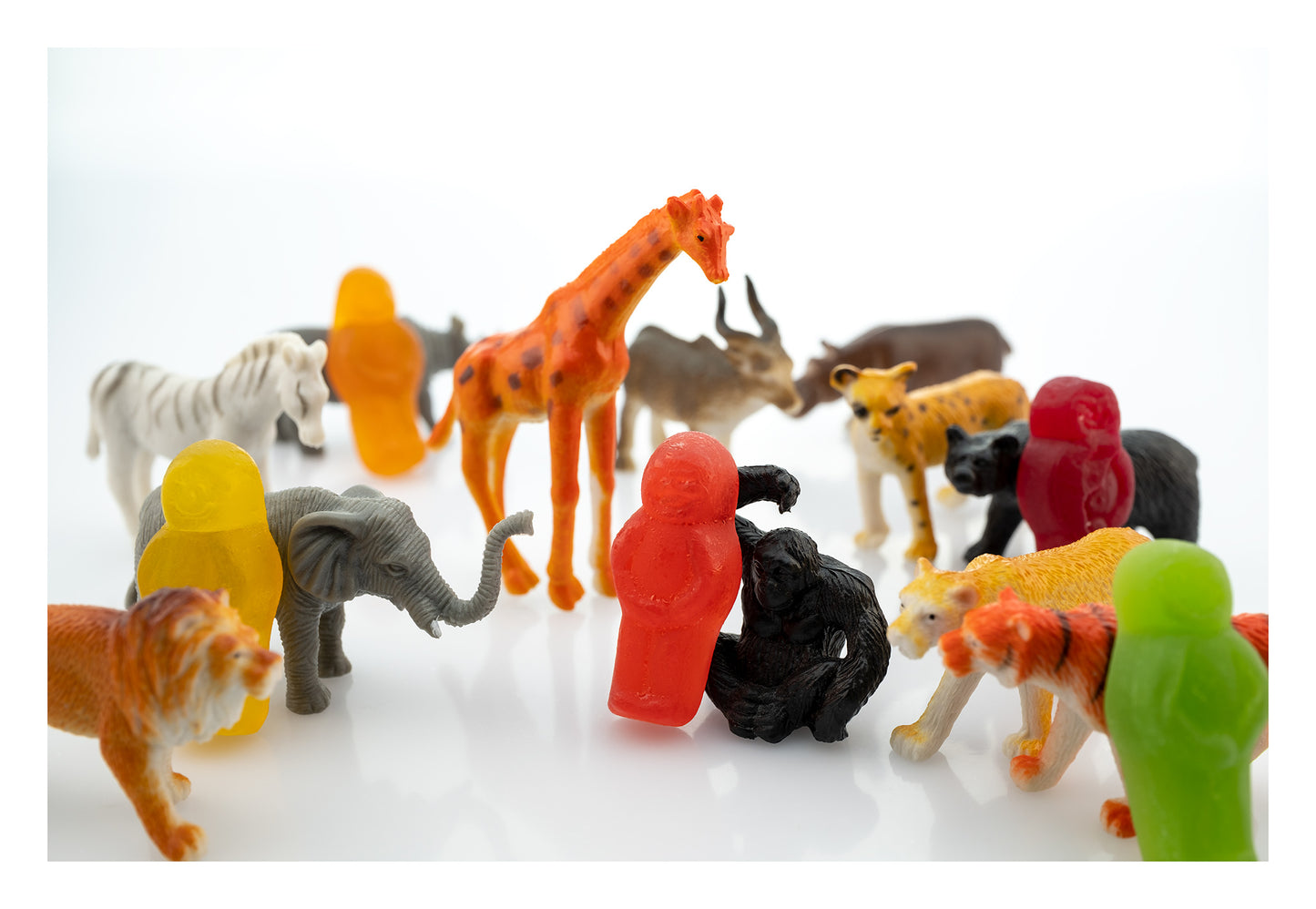 Life’s a Zoo 2816v1 - 104x74cm, whimsical fine art photograph featuring colourful gummy figures surrounded by miniature toy animals including a giraffe, elephant, lion, zebra and chimpanzee on a white reflective surface, playfully evoking the chaos and charm of life as a zoo, limited edition by Raymond Mather, ART1.