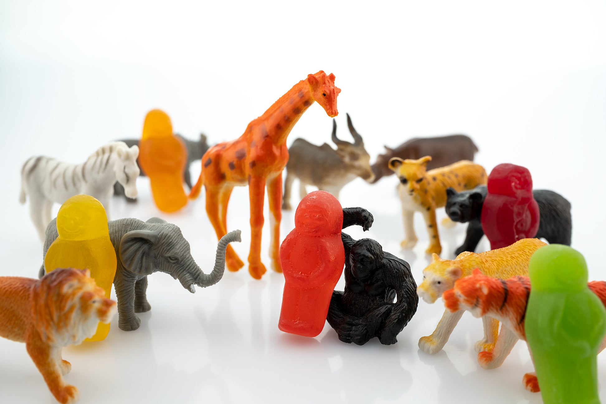 Life’s a Zoo 2816v1 - 90x60cm, whimsical fine art photograph featuring colourful gummy figures surrounded by miniature toy animals including a giraffe, elephant, lion, zebra and chimpanzee on a white reflective surface, playfully evoking the chaos and charm of life as a zoo, limited edition by Raymond Mather, ART1.