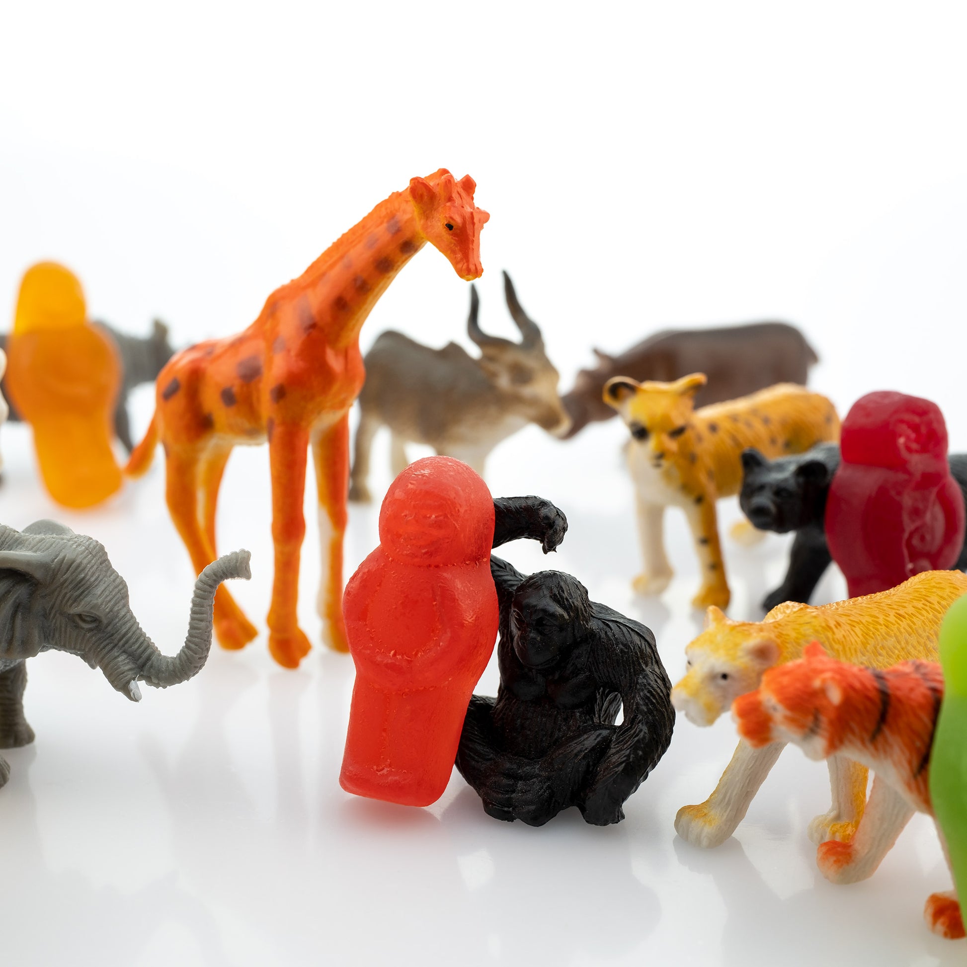 Life’s a Zoo 2816v1 - Close Detail View, whimsical fine art photograph featuring colourful gummy figures surrounded by miniature toy animals including a giraffe, elephant, lion, zebra and chimpanzee on a white reflective surface, playfully evoking the chaos and charm of life as a zoo, limited edition by Raymond Mather, ART1.
