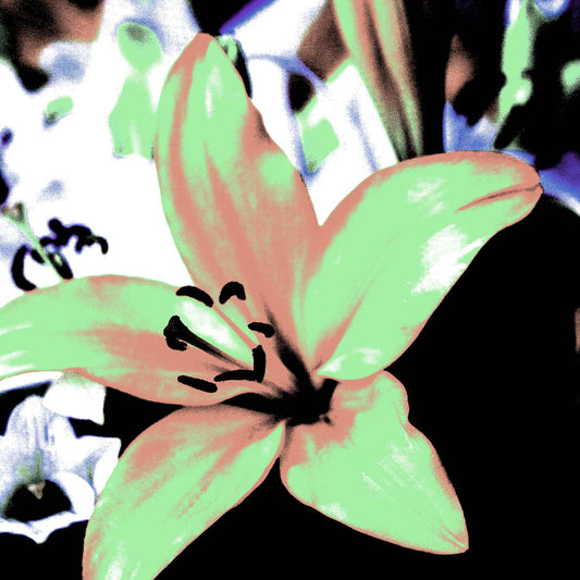 Lilies - Tamworth - 204767v16 - Close Detail View, Soft green and peach-toned lily with a vivid purple background, digitally reinterpreted in a gentle yet graphic Pop Art style.