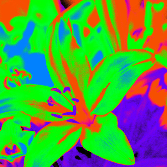 Lilies - Tamworth - 204767v3 - Close Detail View, Explosively colourful lily in vivid green, blue, orange, and purple, digitally manipulated in a psychedelic Pop Art style with intense saturation and surreal contrast.