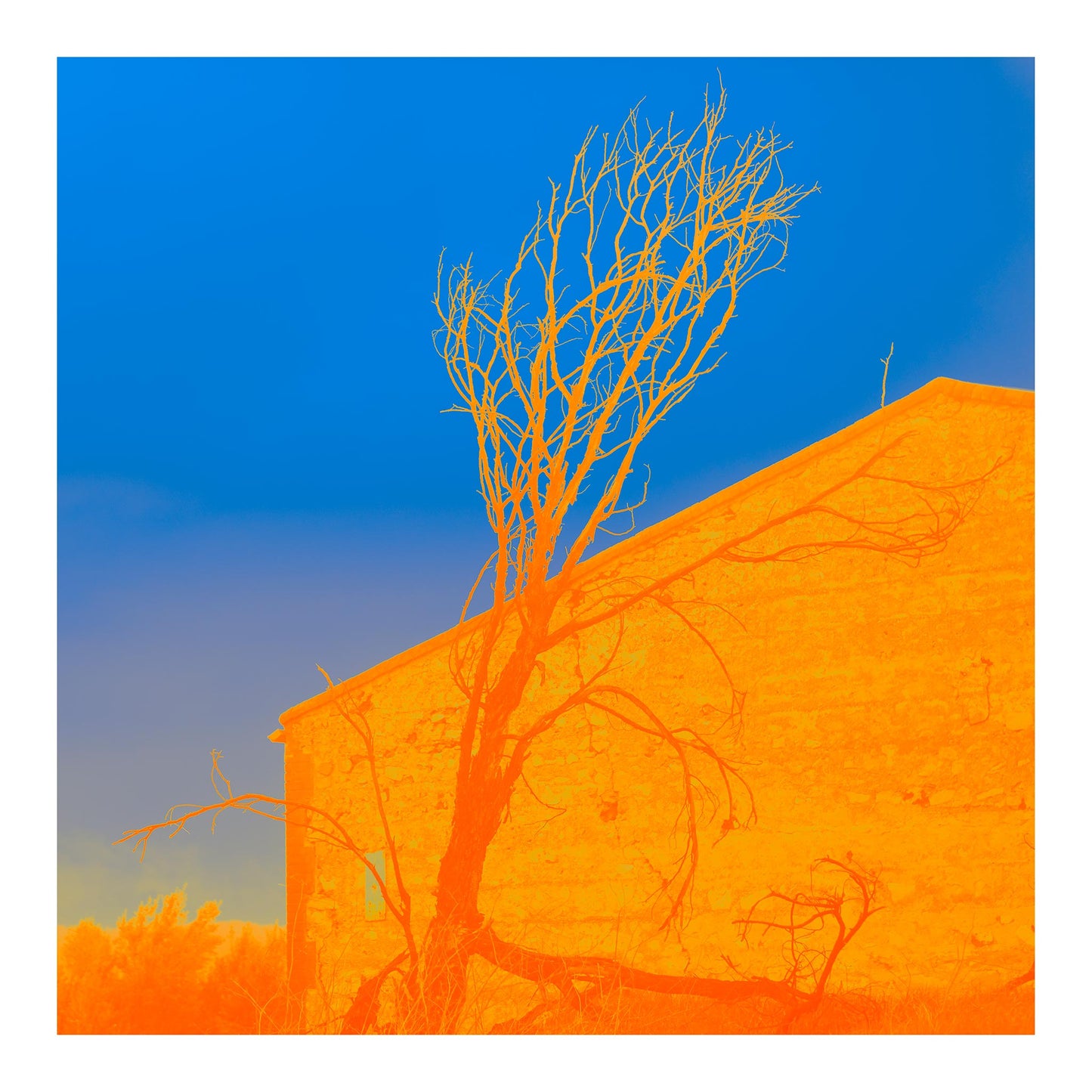 Vivid Country - McLaren Vale The South Cellar Kay Brothers Winery - 7142v35 - 74x74cm, a Pop Art-style square image of a vibrant orange stone building with a dramatic bare tree silhouette against a deep blue sky.
