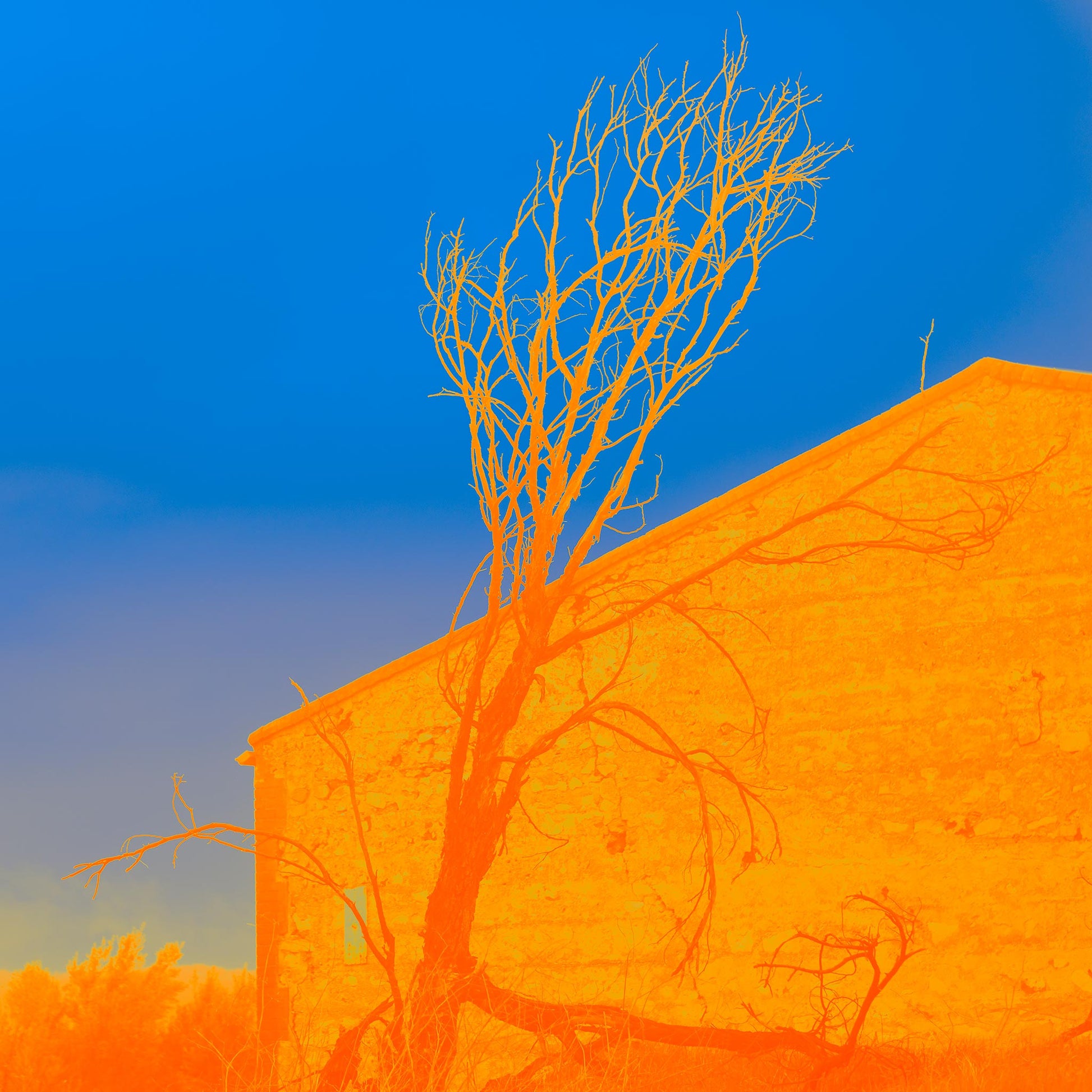 Vivid Country - McLaren Vale The South Cellar Kay Brothers Winery - 7142v35 - 60x60cm, a Pop Art-style square image of a vibrant orange stone building with a dramatic bare tree silhouette against a deep blue sky.