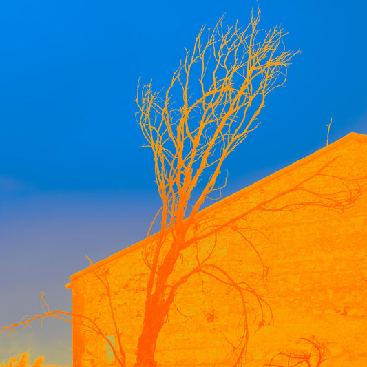 Vivid Country - McLaren Vale The South Cellar Kay Brothers Winery - 7142v35 - Close Detail View, a Pop Art-style square image of a vibrant orange stone building with a dramatic bare tree silhouette against a deep blue sky.