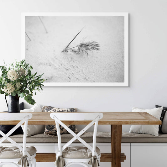 Monochrome Mix - Beach - Grass Seeds - 181458v2 - Room View, A black and white photograph of dried grass seed heads gently embedded in light sand, evoking quietness and minimal coastal beauty. Limited edition fine art print.