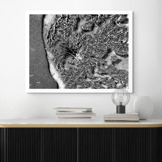 Monochrome Mix - Beach - Spinifex - 184009 - Room View, A black and white photograph of spinifex surrounded by lapping seawater and foamy surf, with striking ripple patterns and fine detail. Limited edition fine art print.