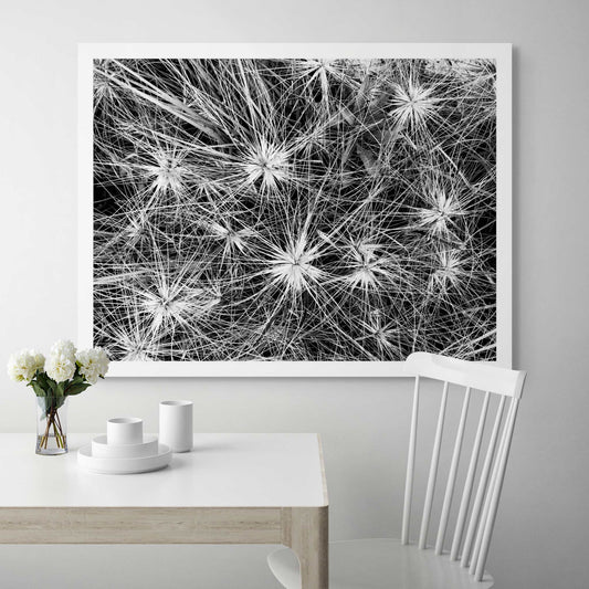 Monochrome Mix - Beach - Spinifex - 184087 - Room View, A detailed black and white photograph of dense spinifex growth, with starburst patterns and fine intersecting lines creating a natural abstract texture. Limited edition fine art print.