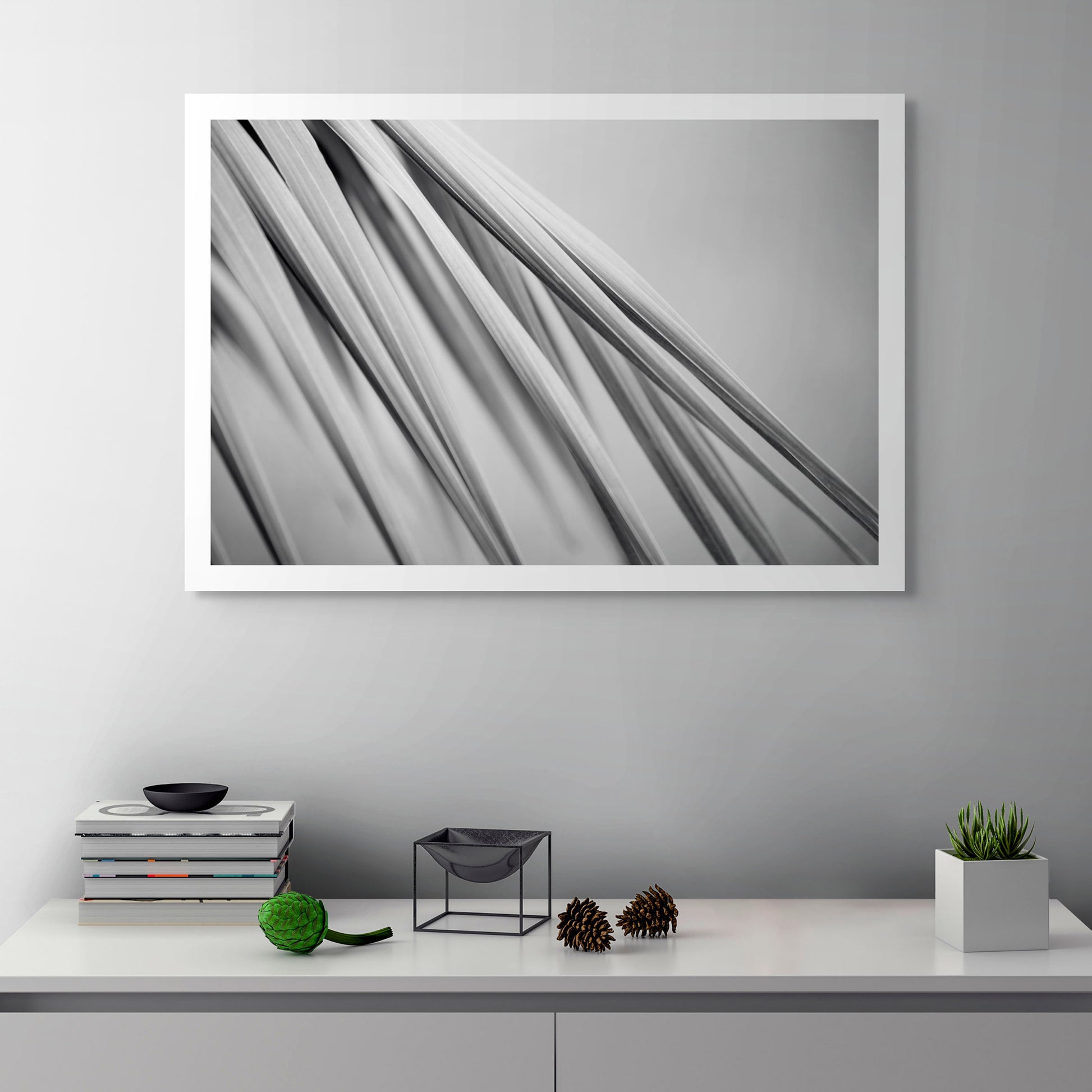 Monochrome Mix - Bucca - Swans Rd - Palm Frond - 210151 - Room View, Black-and-white fine art photograph of slender palm fronds in soft diagonal composition, highlighting their smooth lines and layered textures in minimalist abstract style.