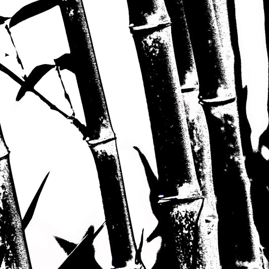 Monochrome Mix - Friday Creek - Bamboo - 61221027v18 - Close Detail View, A high-contrast black and white image of bamboo stalks and leaves, featuring bold textures and stark light-dark interplay.
