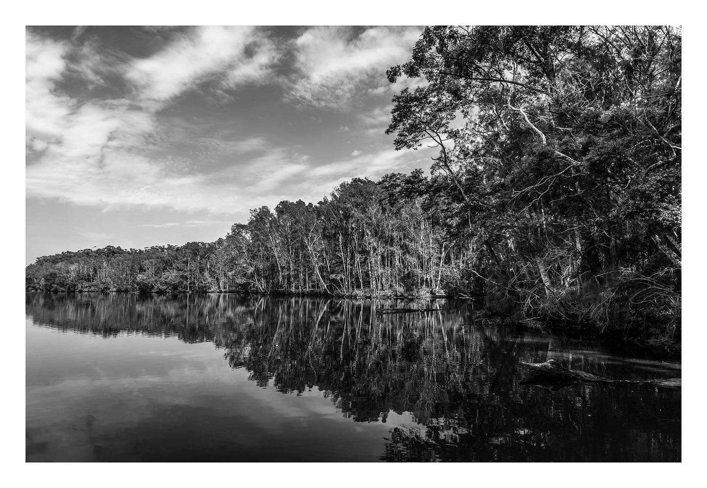 Monochrome Mix - River Reflection - 160689v2 - 104x74cm, A black and white landscape, Bongil Bongil National Park of a still river bordered by tall trees, their reflections mirrored clearly in the water. Serene, symmetrical nature study. Limited edition fine art print.