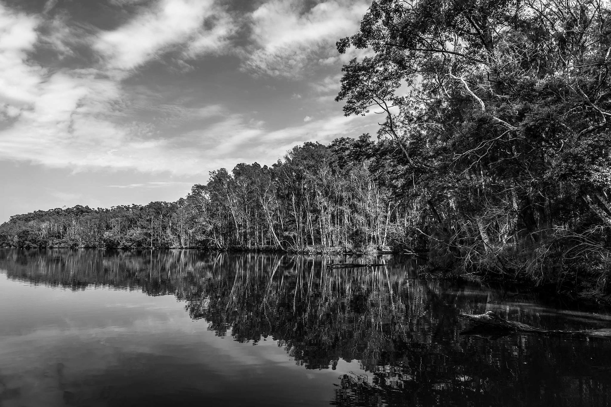 Monochrome Mix - River Reflection - 160689v2 - 90x60cm, A black and white landscape, Bongil Bongil National Park of a still river bordered by tall trees, their reflections mirrored clearly in the water. Serene, symmetrical nature study. Limited edition fine art print.