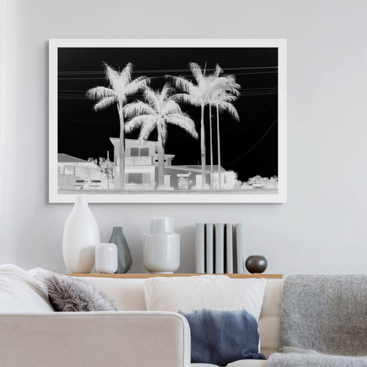 Monochrome Mix - Sawtell - Coastal Palms - 197461v2 - Room View, Black and white image of palm trees in front of a modern suburban house, with visible powerlines and strong sky contrast, evoking a moody, cinematic aesthetic.