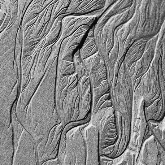 Monochrome Mix - Scotts Head - Beach Sand Tidal Forms - 19E4539 - Close Detail View, Vertical black and white photograph of fine sand patterns formed by tidal flow, resembling leaf veins and natural etchings with rich tonal contrast.
