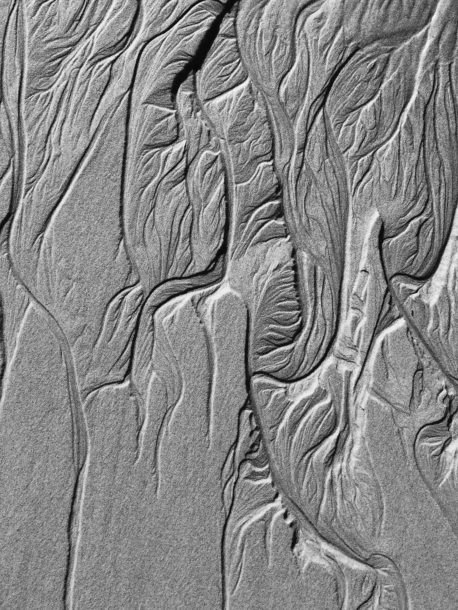 Monochrome Mix - Scotts Head - Beach Sand Tidal Forms - 19E4542a - 67.5x90cm, Vertical black and white photograph of abstract tidal sand patterns from Scotts Head beach, resembling roots or anatomical forms with rich texture and natural sculptural flow.