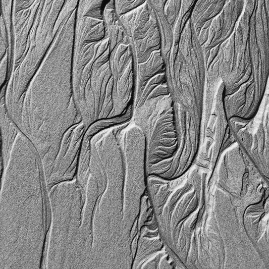 Monochrome Mix - Scotts Head - Beach Sand Tidal Forms - 19E4542a - Close Detail View, Vertical black and white photograph of abstract tidal sand patterns from Scotts Head beach, resembling roots or anatomical forms with rich texture and natural sculptural flow.