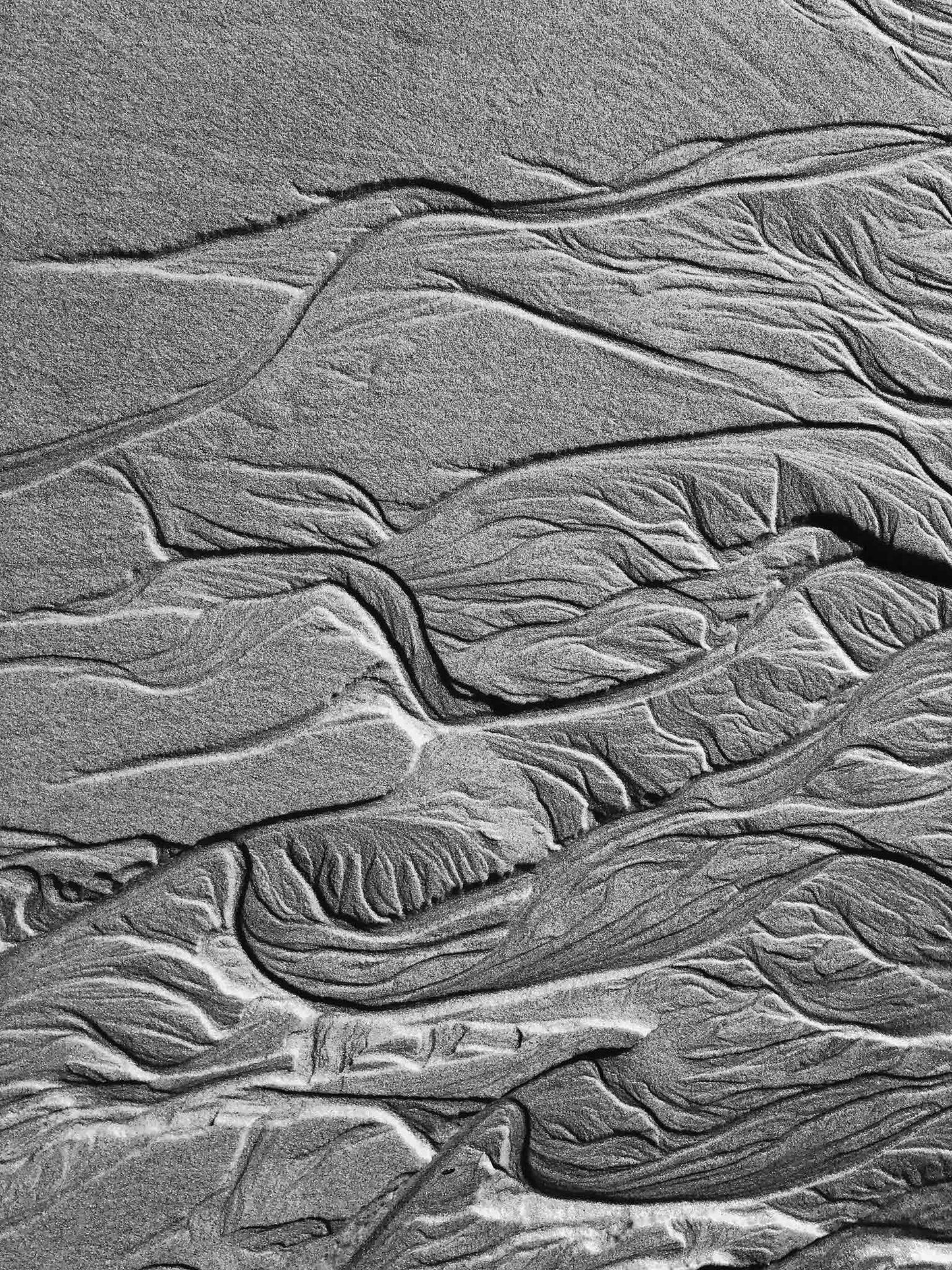 Monochrome Mix - Scotts Head - Beach Sand Tidal Forms - 19E4544 - 67.5x90cm, Vertical black and white photograph showcasing finely textured tidal sand formations with flowing, organic patterns on the beach at Scotts Head.