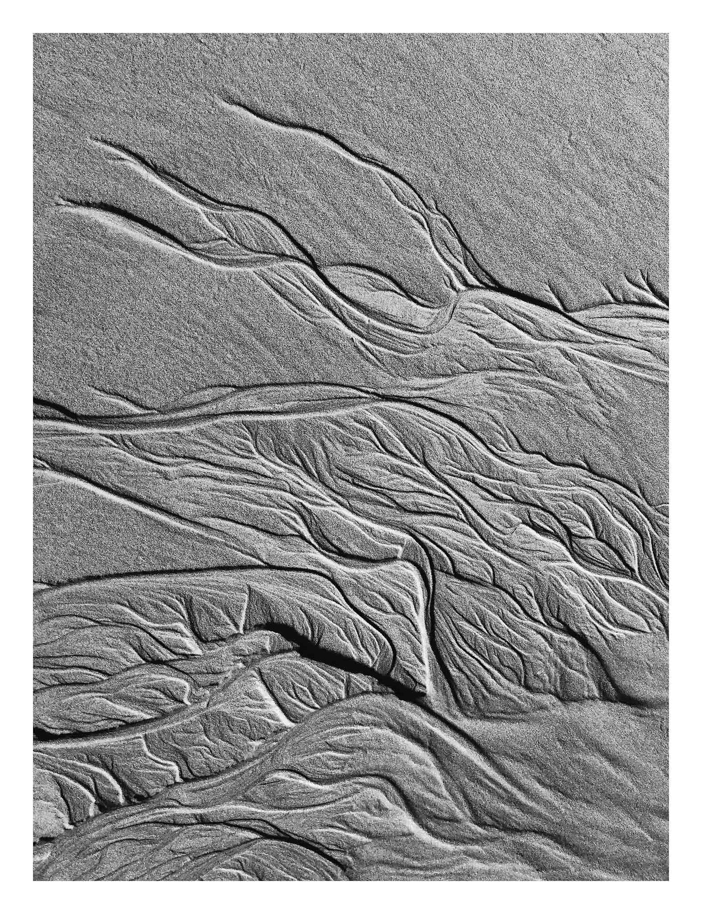 Monochrome Mix - Scotts Head - Beach Sand Tidal Forms - 19E4548 - 81.5x104cm, Vertical black and white photograph capturing organic sand patterns shaped by tides at Scotts Head, evoking tree branches or veins.