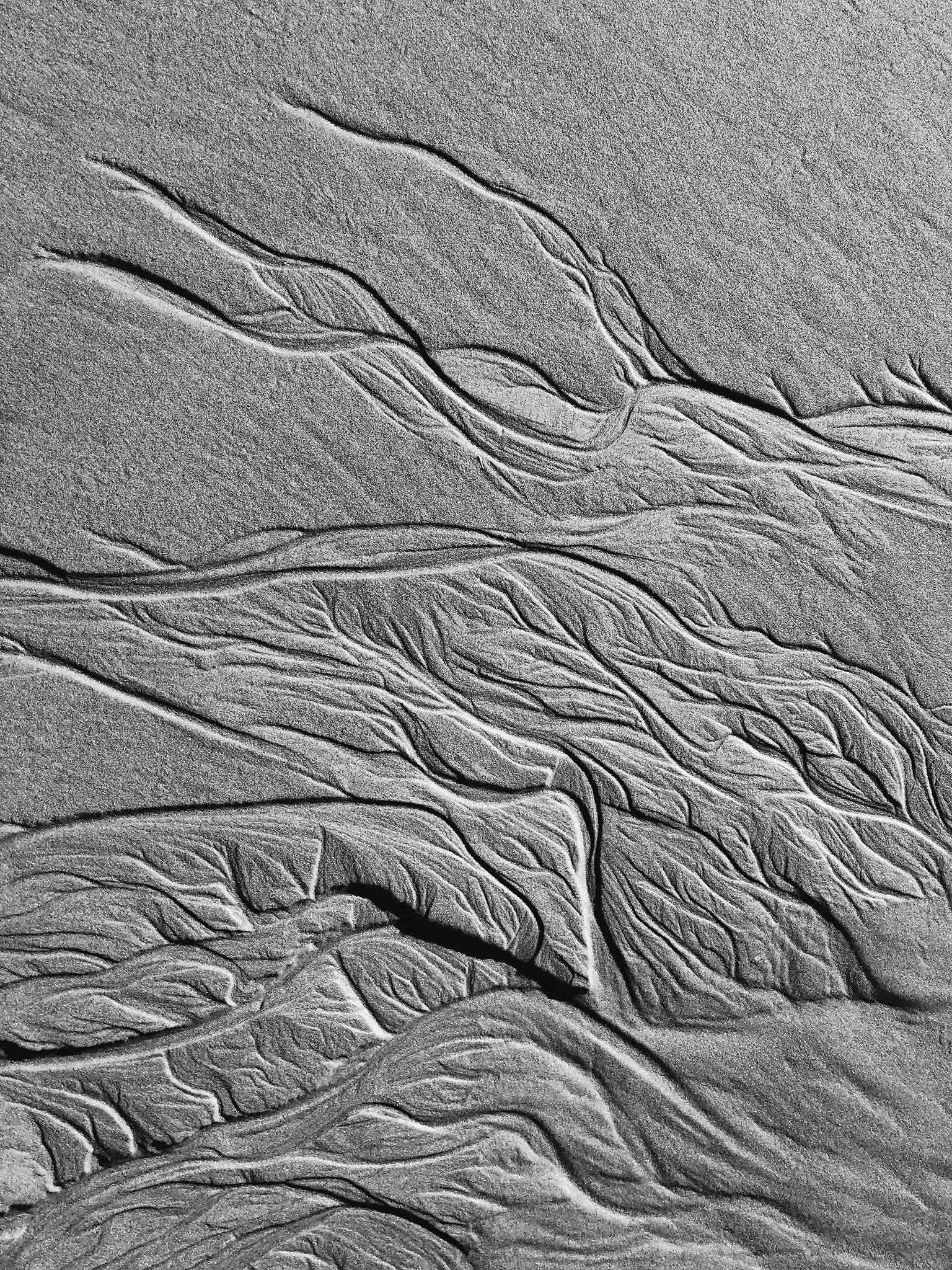 Monochrome Mix - Scotts Head - Beach Sand Tidal Forms - 19E4548 - 67.5x90cm, Vertical black and white photograph capturing organic sand patterns shaped by tides at Scotts Head, evoking tree branches or veins.