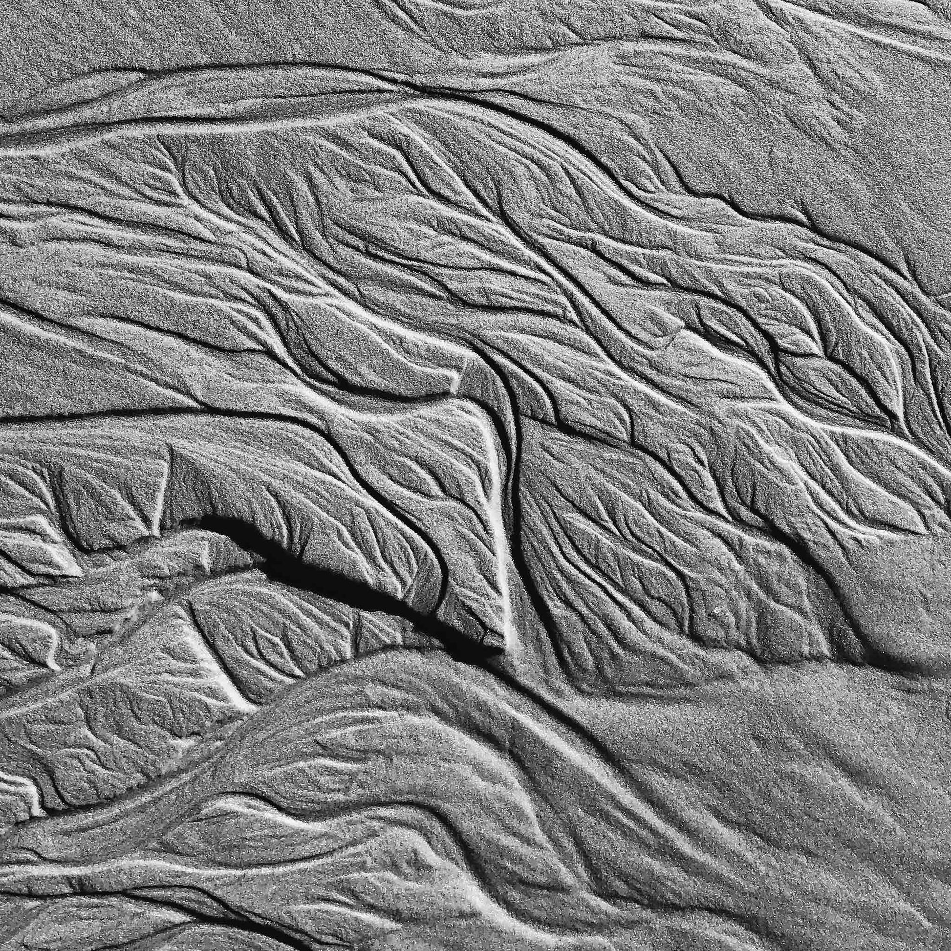Monochrome Mix - Scotts Head - Beach Sand Tidal Forms - 19E4548 - Close Detail View, Vertical black and white photograph capturing organic sand patterns shaped by tides at Scotts Head, evoking tree branches or veins.