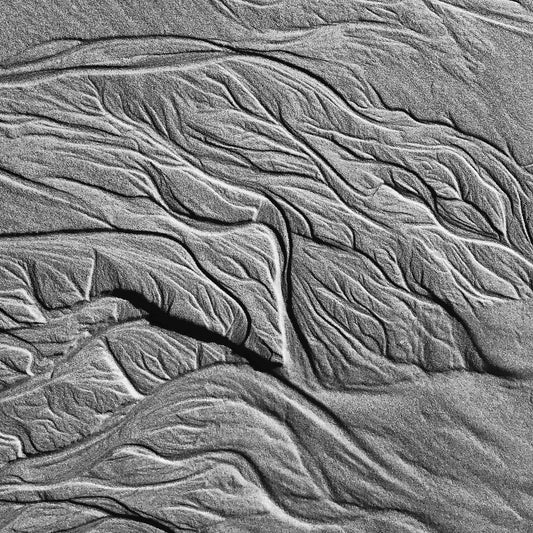 Monochrome Mix - Scotts Head - Beach Sand Tidal Forms - 19E4548 - Close Detail View, Vertical black and white photograph capturing organic sand patterns shaped by tides at Scotts Head, evoking tree branches or veins.