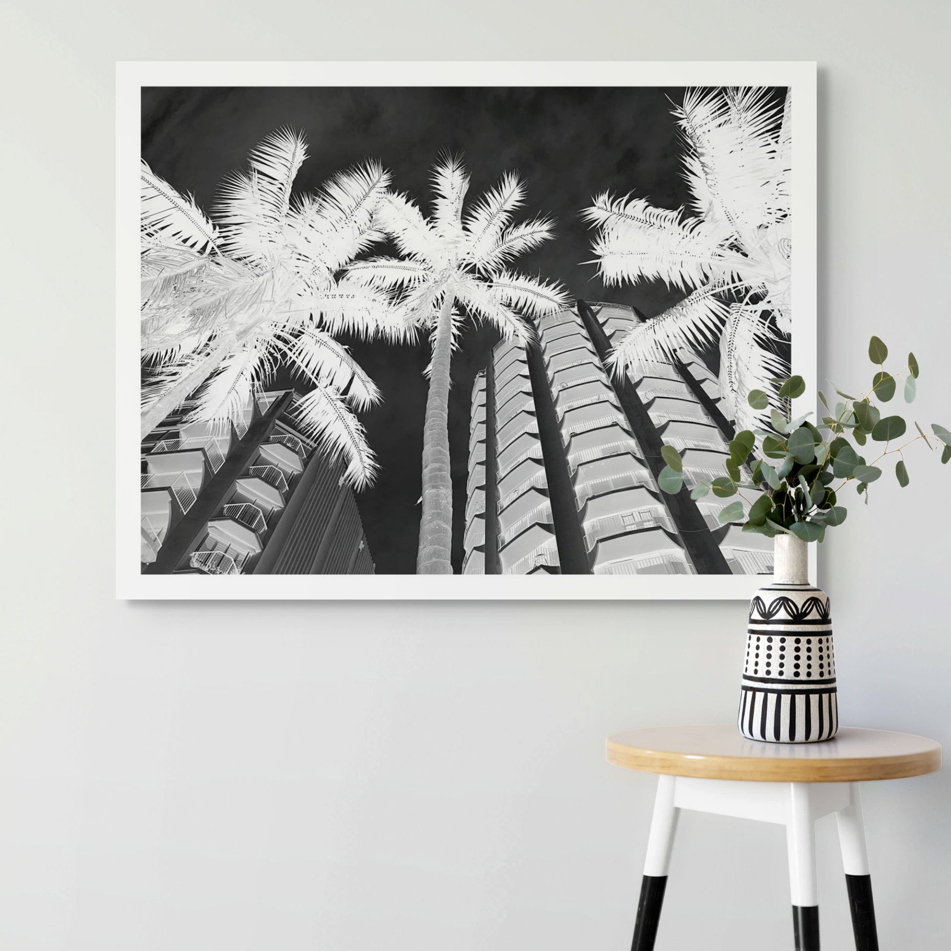 Monochrome Mix - Sydney - Potts Point - Fitzroy Gardens - Palms - 209340v2 - Room View, Black and white upward-facing photograph of palm trees against modern apartment buildings in Potts Point, Sydney, with dramatic lighting and high contrast.