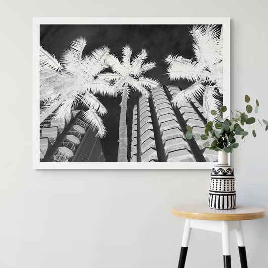 Monochrome Mix - Sydney - Potts Point - Fitzroy Gardens - Palms - 209340v2 - Room View, Black and white upward-facing photograph of palm trees against modern apartment buildings in Potts Point, Sydney, with dramatic lighting and high contrast.