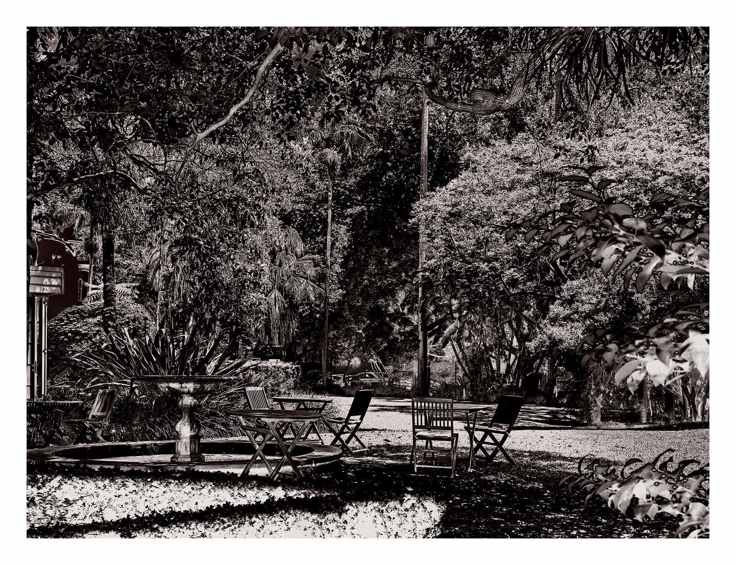 Monochrome Mix - Garden - Woollahra - Sydney - 222108v6 - 104x81.5cm, A richly textured black and white garden scene featuring scattered chairs, a fountain, and dense tree canopy in a tranquil urban park setting. Limited edition fine art print.