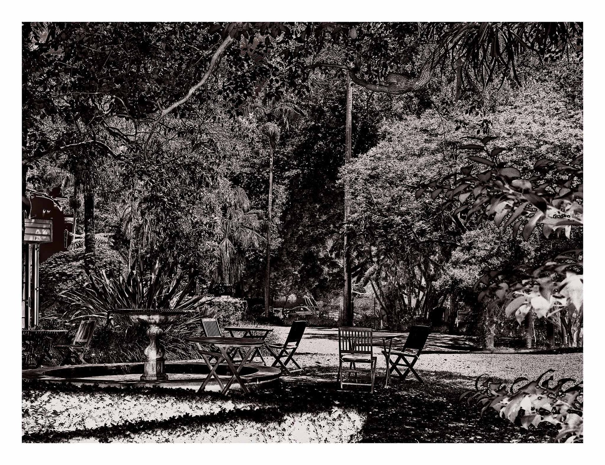 Monochrome Mix - Garden - Woollahra - Sydney - 222108v6 - 104x81.5cm, A richly textured black and white garden scene featuring scattered chairs, a fountain, and dense tree canopy in a tranquil urban park setting. Limited edition fine art print.