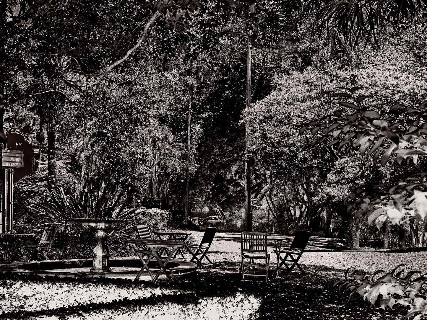 Monochrome Mix - Garden - Woollahra - Sydney - 222108v6 - 90x67.5cm, A richly textured black and white garden scene featuring scattered chairs, a fountain, and dense tree canopy in a tranquil urban park setting. Limited edition fine art print.