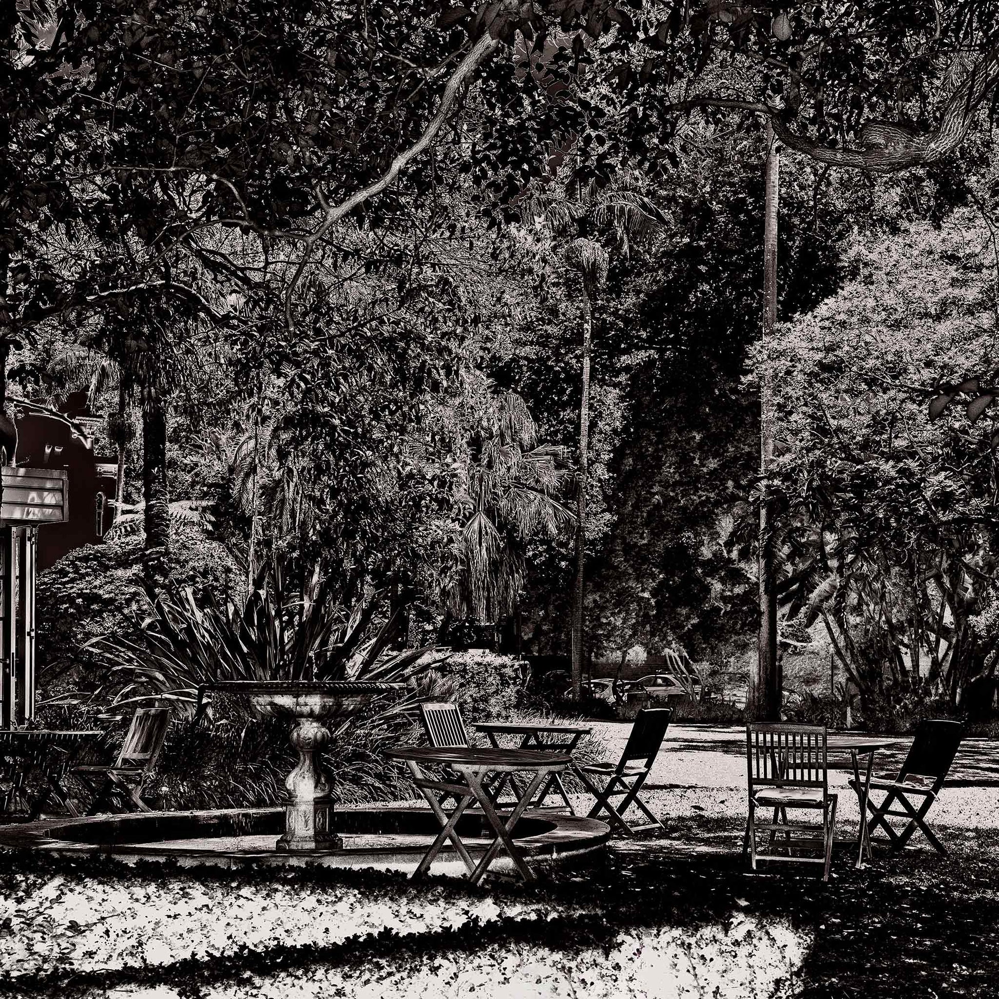 Monochrome Mix - Garden - Woollahra - Sydney - 222108v6 - Close Detail View, A richly textured black and white garden scene featuring scattered chairs, a fountain, and dense tree canopy in a tranquil urban park setting. Limited edition fine art print.